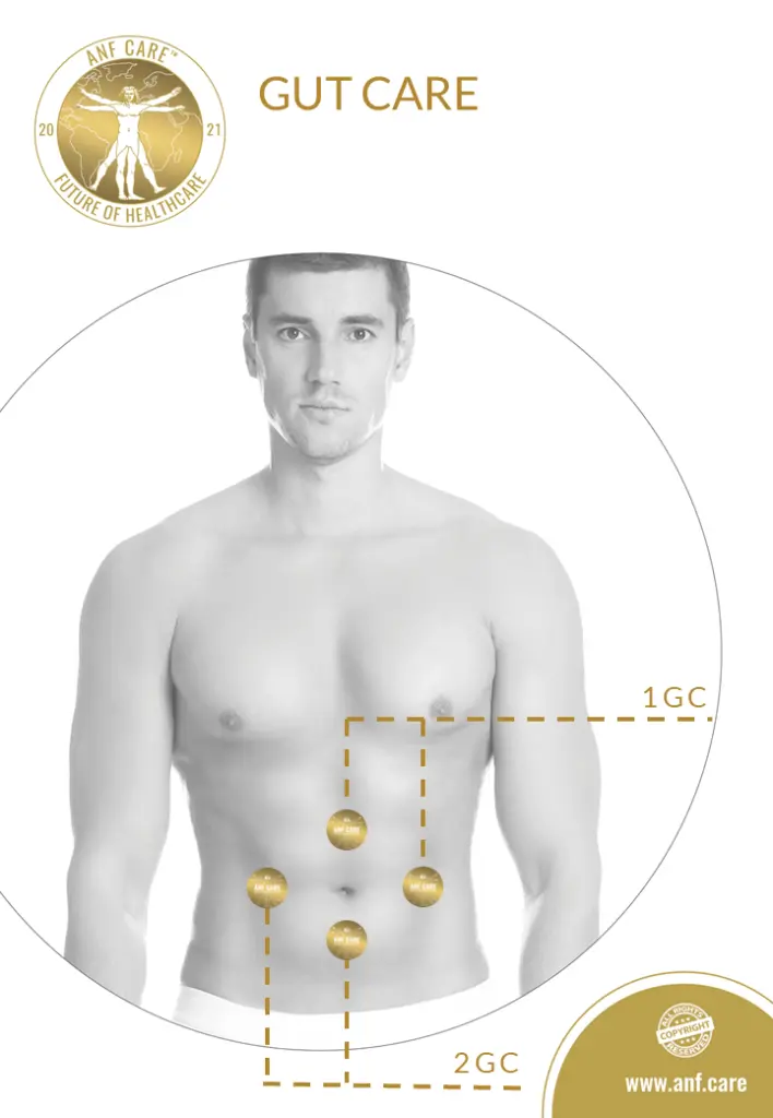 18.B2C.GUT CARE.webp