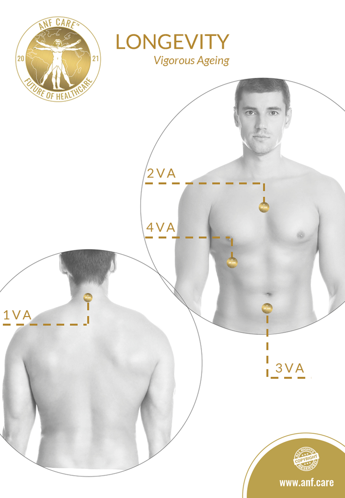 25.B2C.LONGEVITY (vigorous ageing).png