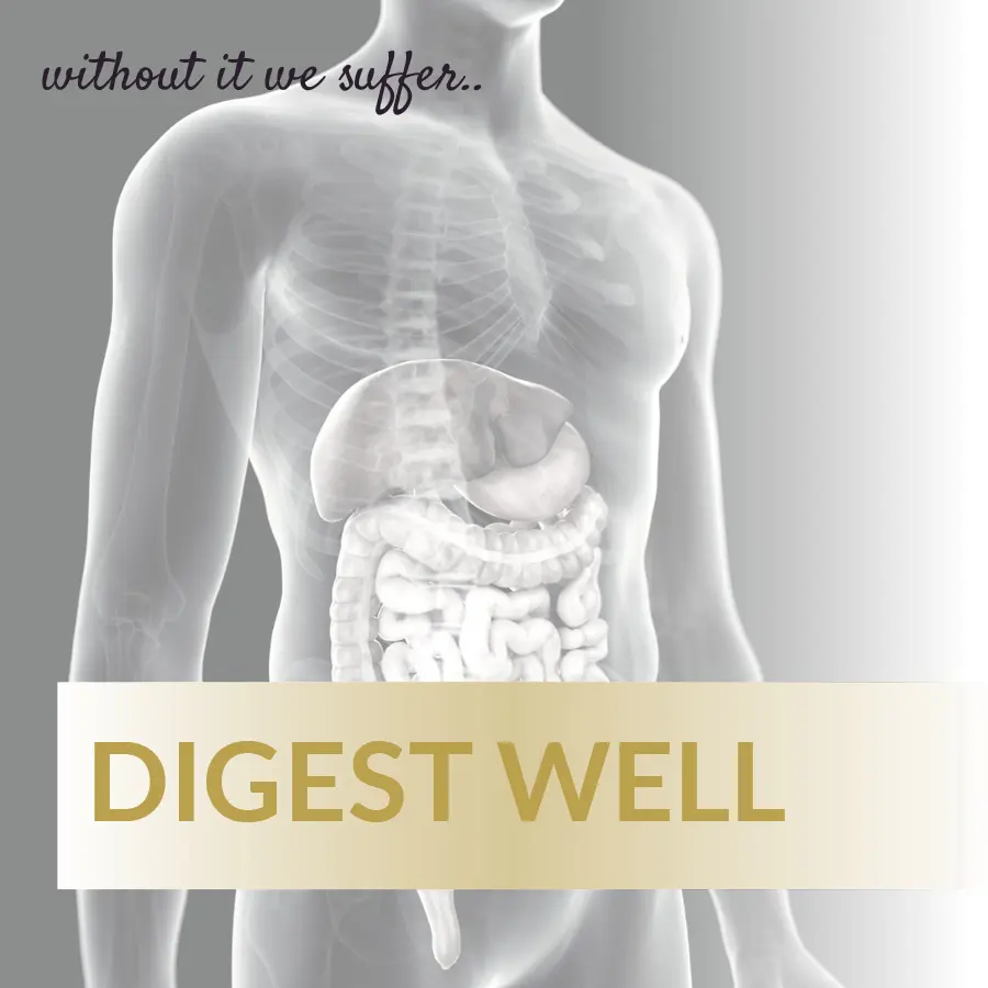 Digest Well