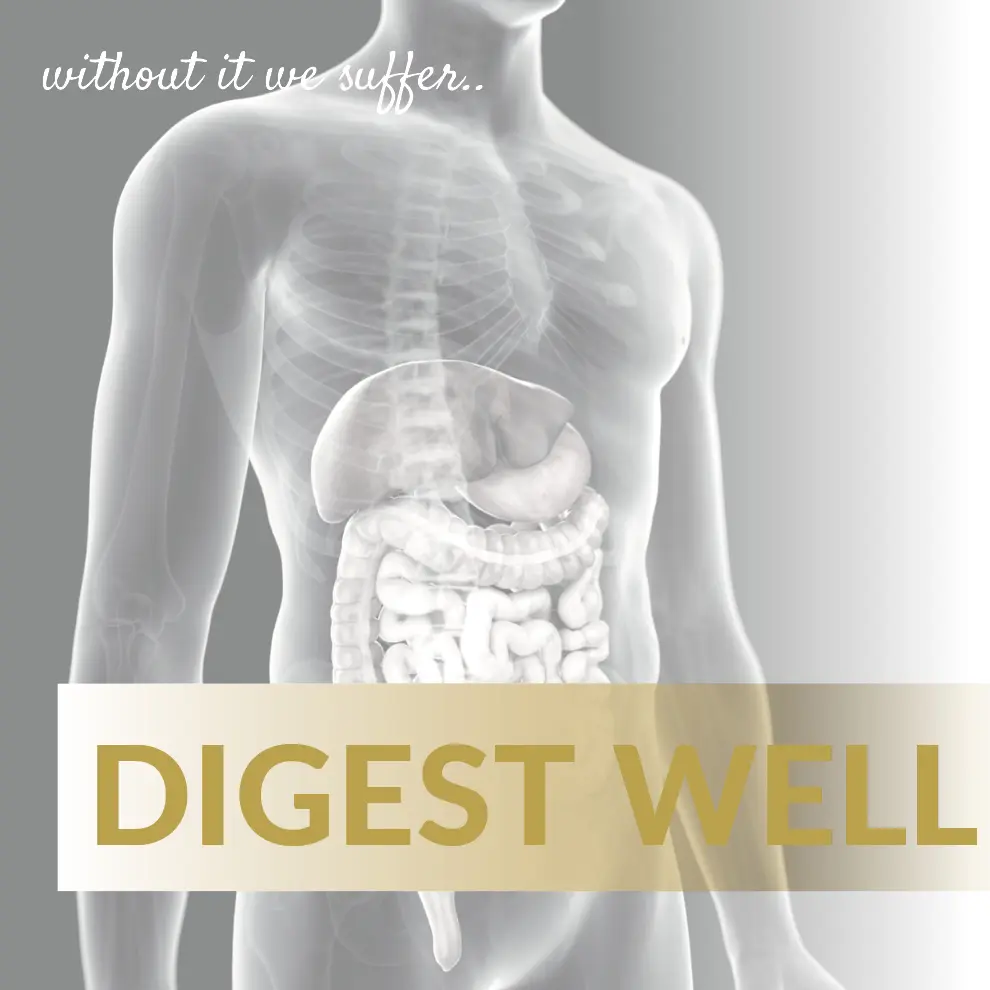 Digest Well