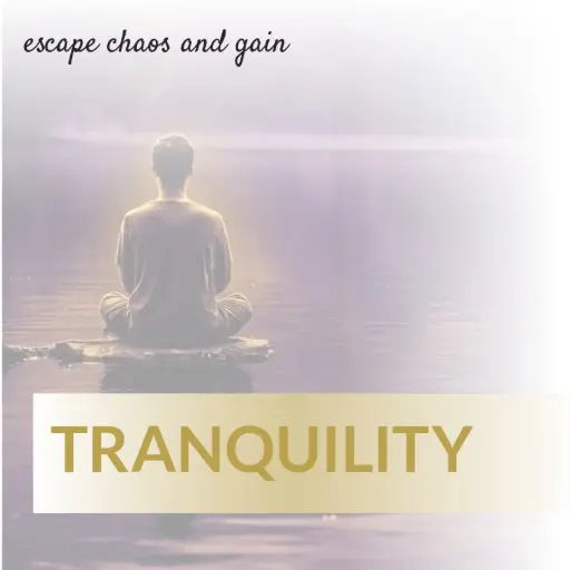[T16] Tranquility