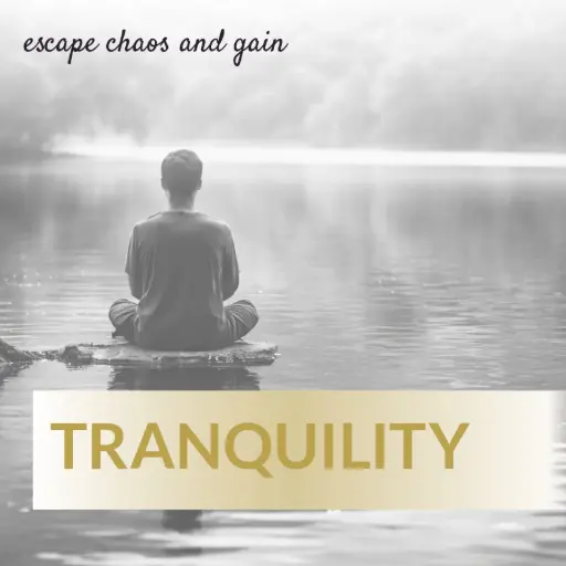 [T16] Tranquility