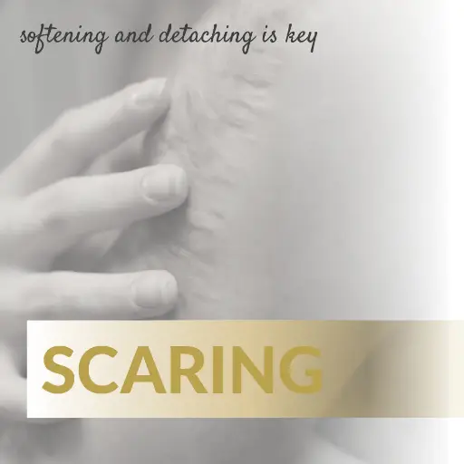 [S12] Scarring