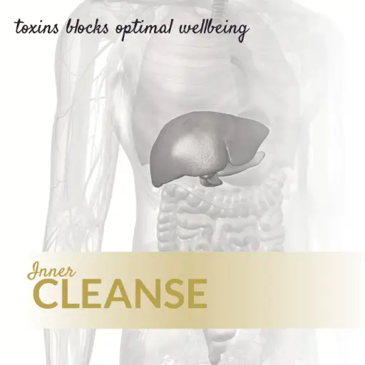 [LD20] Inner Cleanse