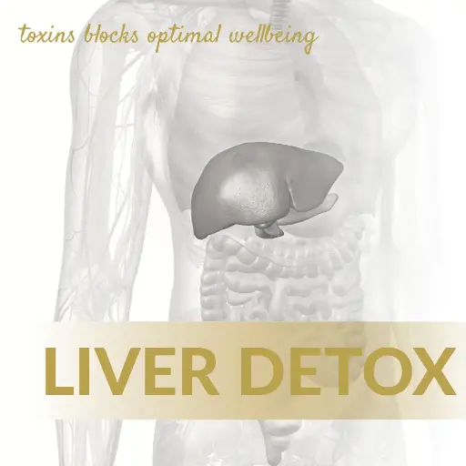 [LD20] Liver Detox