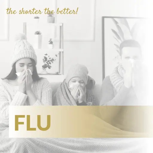 [FU14] Flu