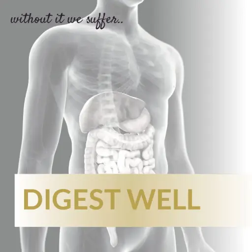[DW12] Digest Well